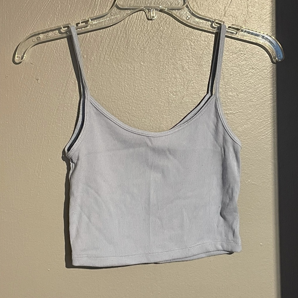 Brandy Melville blue crop top